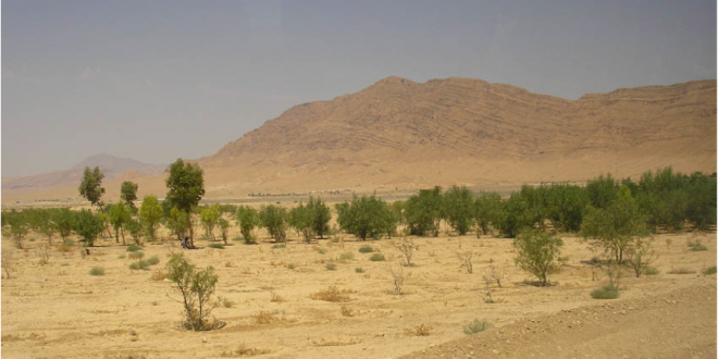 TYPSA gestionará la construcción de seis plantas desalobradoras para abastecer de agua al Sáhara tunecino
