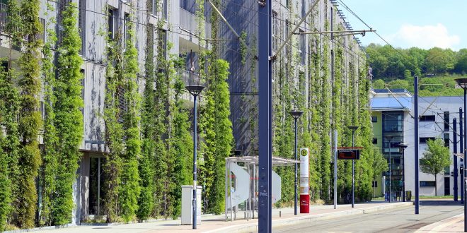 Envolventes vegetales en la edificación: ¿el pulmón de la urbanidad?